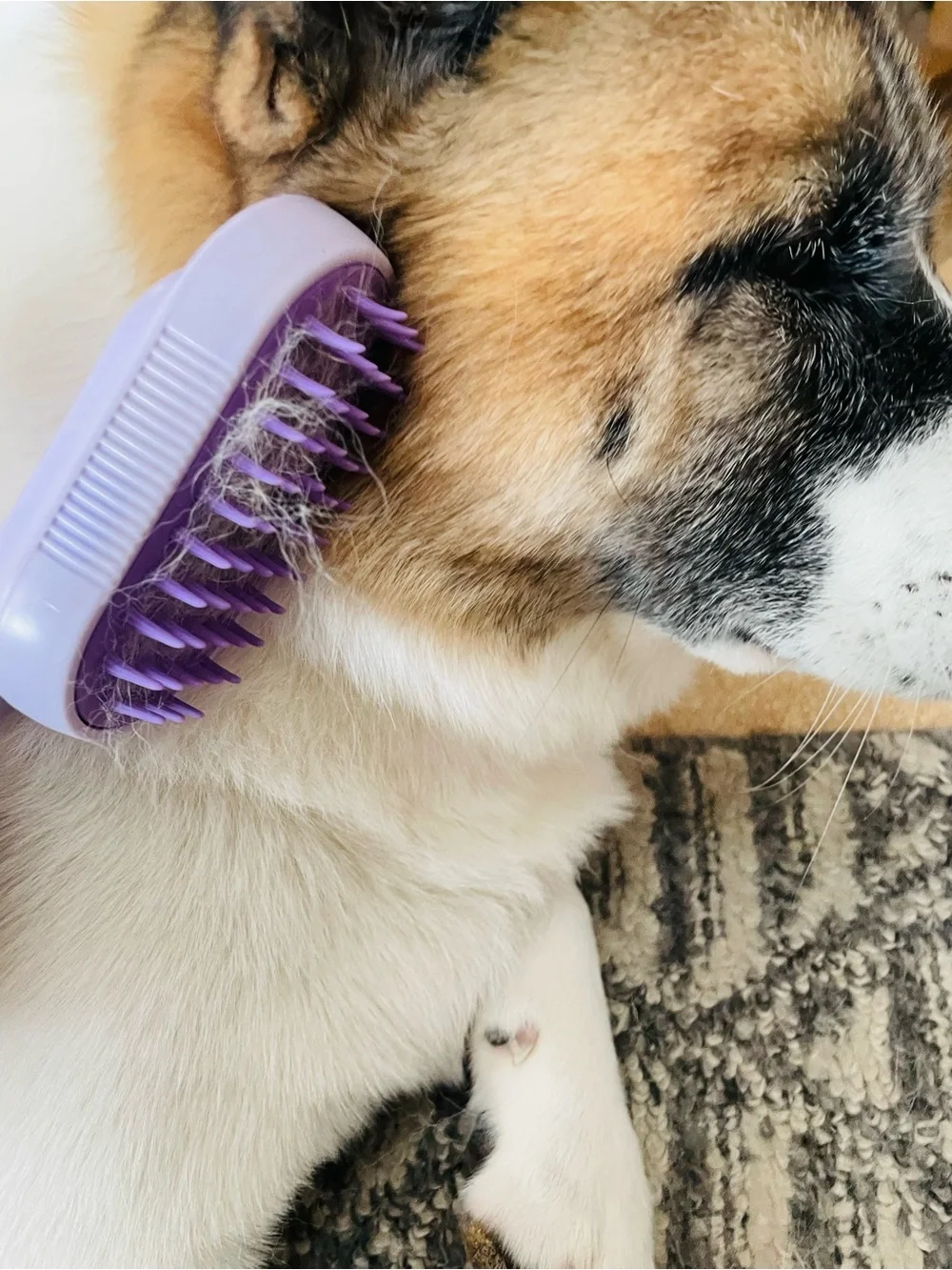 Rechargeable Electric Spray Handle Brush Grooming Tool for Favorite Companion
